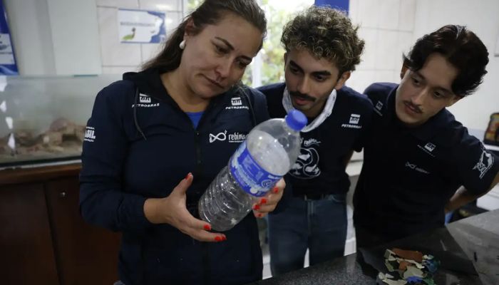 Mais de 93% dos peixes vendidos no litoral do Paraná têm microplástico